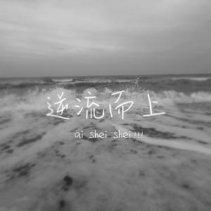 逆流而上-Demo