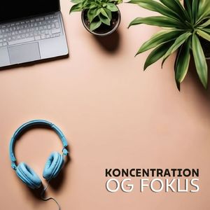 Klarhed gennem Musik