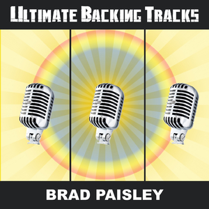 Whiskey Lullaby (In the Style of Brad Paisley) [Backing Track Version]