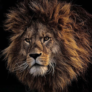 Reboot the system