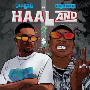 Haaland (feat. Tobii WTW)