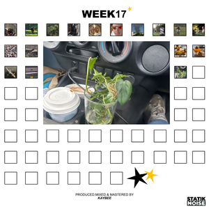 WEEK17