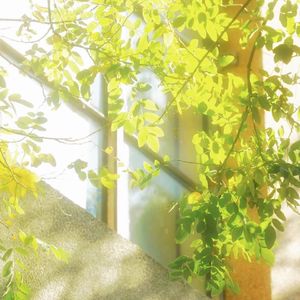 须尽欢x0.8