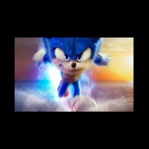 Sonic the hedgehog