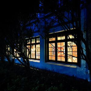 柳絮间的浪漫 伴奏