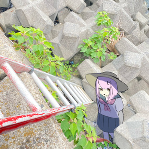 明るく振る舞い生きてろよ (feat. 可不)