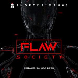 Flaw Society