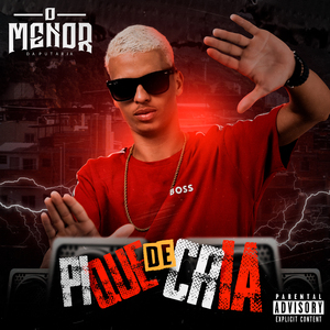 Varredeira 244