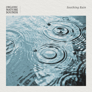 Morning Rain in the Tent (Instrumental Version)