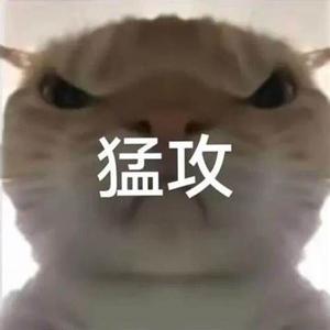猛攻