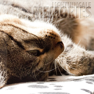 Schroedinger's Untitled