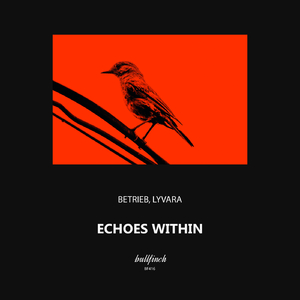 Echoes Within