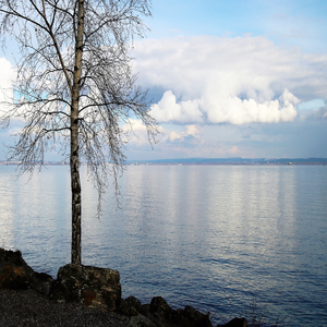 완전한 자유 (영혼의 행복)