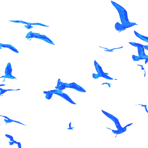 내가 세상을 떠난다면