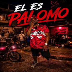 Palomo (feat. El Moyeto)