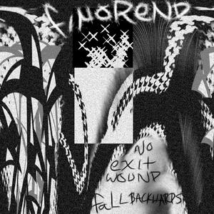 no exit wound: fall backwards