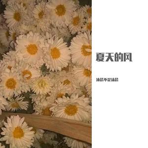 温岚-夏天的风（女声吉他弹唱）（翻自 温岚）（沐晨不是沫晨 remix）