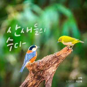 산새들의 수다 (Duet Ver.)