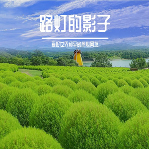 面对世界
