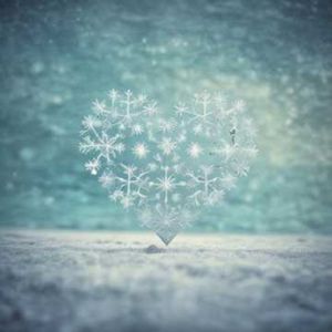 冬雪飘落它轻轻对我说