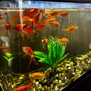 回响 (prod by 9zi）