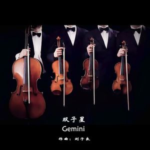 弦乐四重奏-双子星
