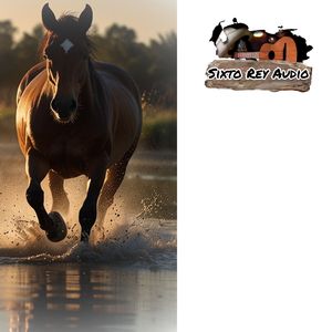 Juro Que Te Gusto (En Vivo)