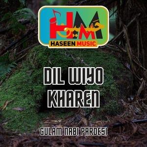 Dil Wiyo Kharen