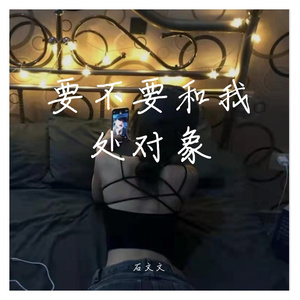 要不要和我处对象-MC石文文