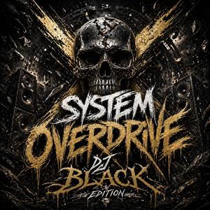 SYSTEM OVERDRIVE