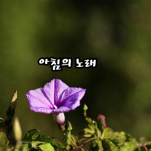 아침의 노래