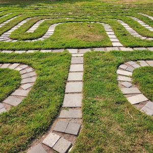 Old when the World was Young