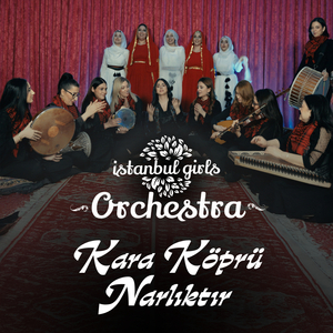 Kara Köprü Narlıktır