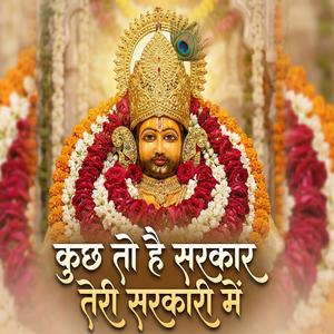 कुछ तो है सरकार तेरी सरकारी में