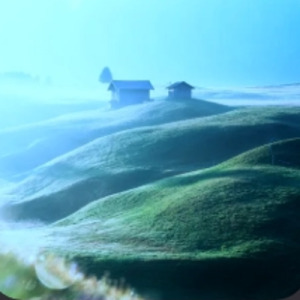 いのちの森のうた