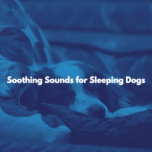 Lively Music for Fresh Pastries