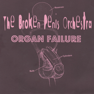 An Introduction To The Obvious