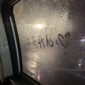 四点的海棠花未眠