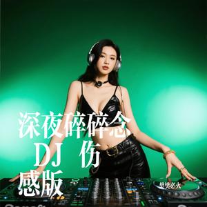 深夜碎碎念 DJ 伤感版