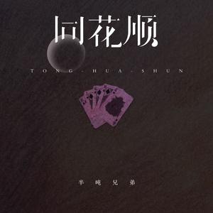 同花顺 (假如说温柔是谎话) (伴奏)