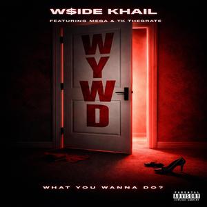 W.Y.W.D (What You Wanna Do)