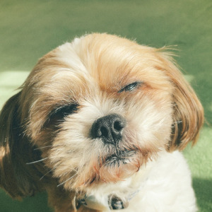 素敵なわたしたち