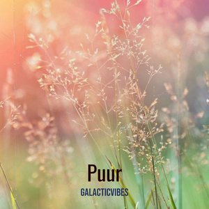 Puur