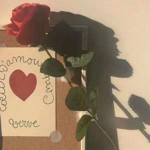 Heart-Broken[恸伴奏]【free beat】