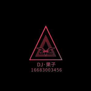 抚州dj果子全中文旋律舞曲串烧（果子 remix）