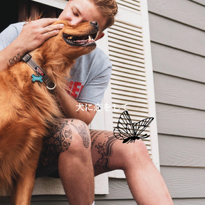 Phenomenal Pre Dinner Drinks