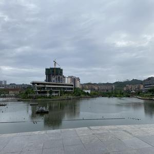 董小姐_晨风别吹（翻自 宋冬野）