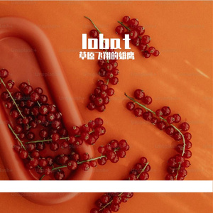 湖面-整曲 伴奏