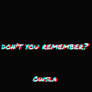 Don't You Remember