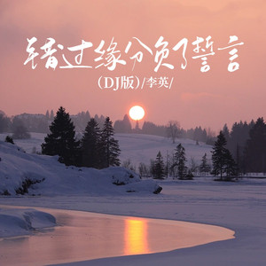 错过缘分负了誓言（DJ版）